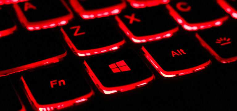 Ransomware and Municipal Governments: Risks, Impacts and Practical Responses